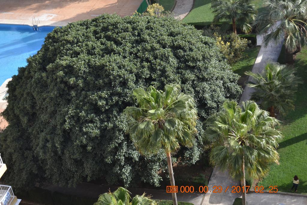 Hercules Apartment Benalmádena Dış mekan fotoğraf